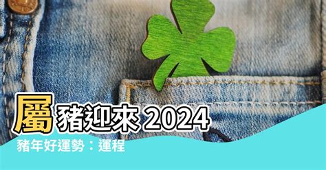 2024屬豬運程|【2024屬豬運程】2024屬豬運程：反覆向上、轉危為機！【開運。